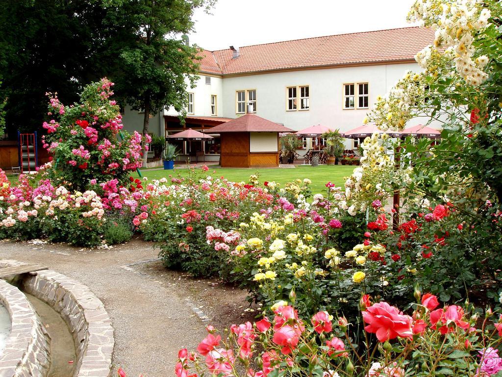 Hotel Weidenmühle Mühlhausen Exterior foto